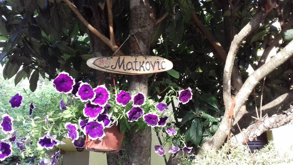 Property logo or sign