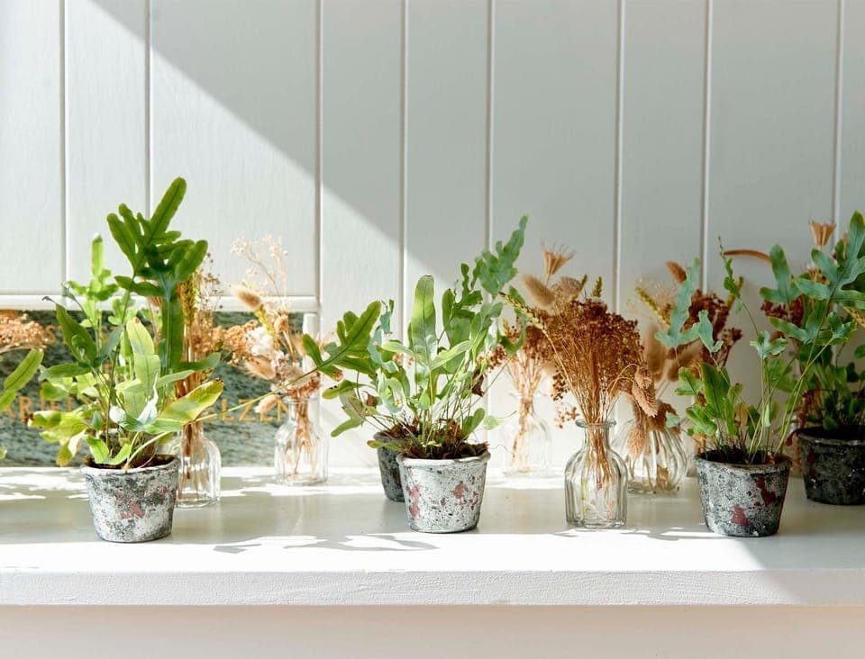 Facade/entrance, Lobby or reception, Decorative detail