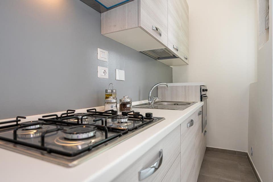 Kitchen or kitchenette, dishwasher, pet friendly, stove