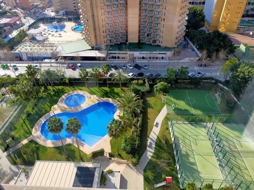 Garden view