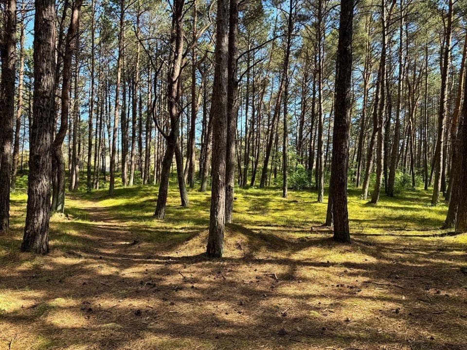 Day, Natural landscape