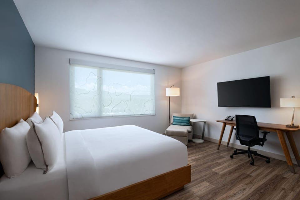 Photo of the whole room