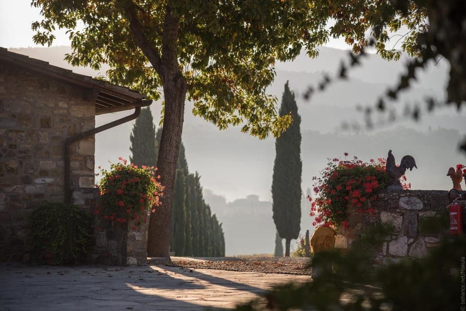 Natural landscape, Garden, Garden view