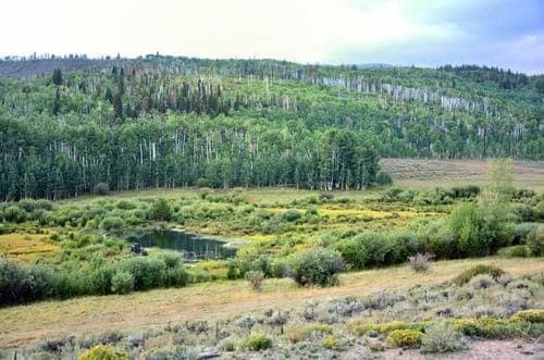 Wapiti Retreat at 22 West Cabins and Recreation Cabin in Colorado