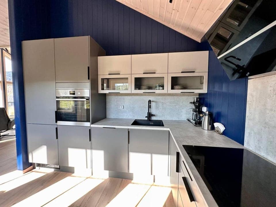 Kitchen or kitchenette, dishwasher, pet friendly, stove