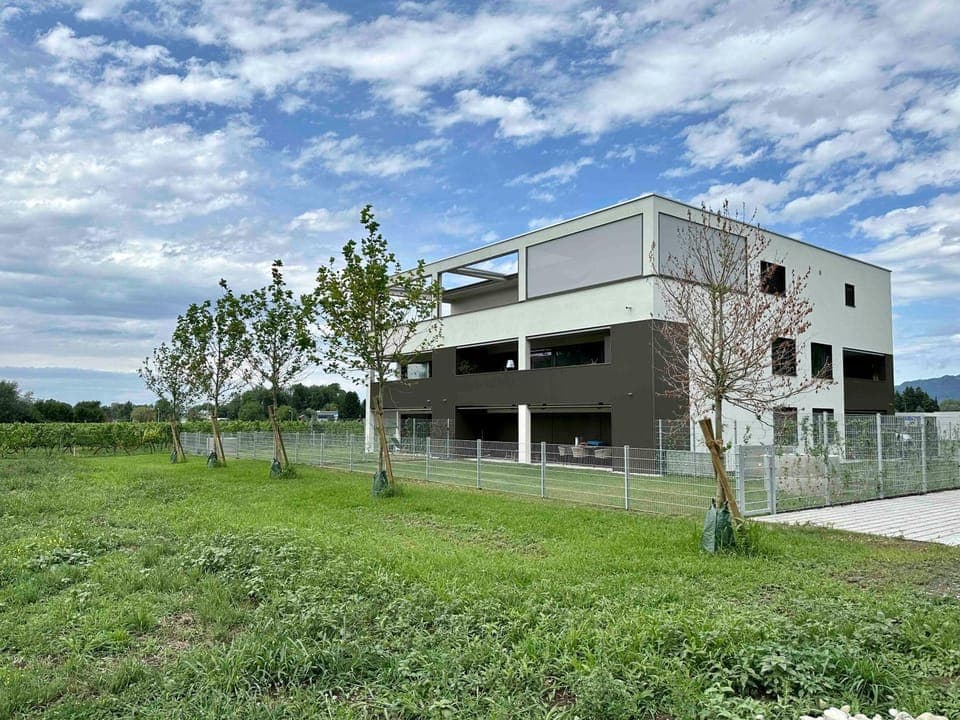 Property building, Day, Natural landscape, Summer, Garden view