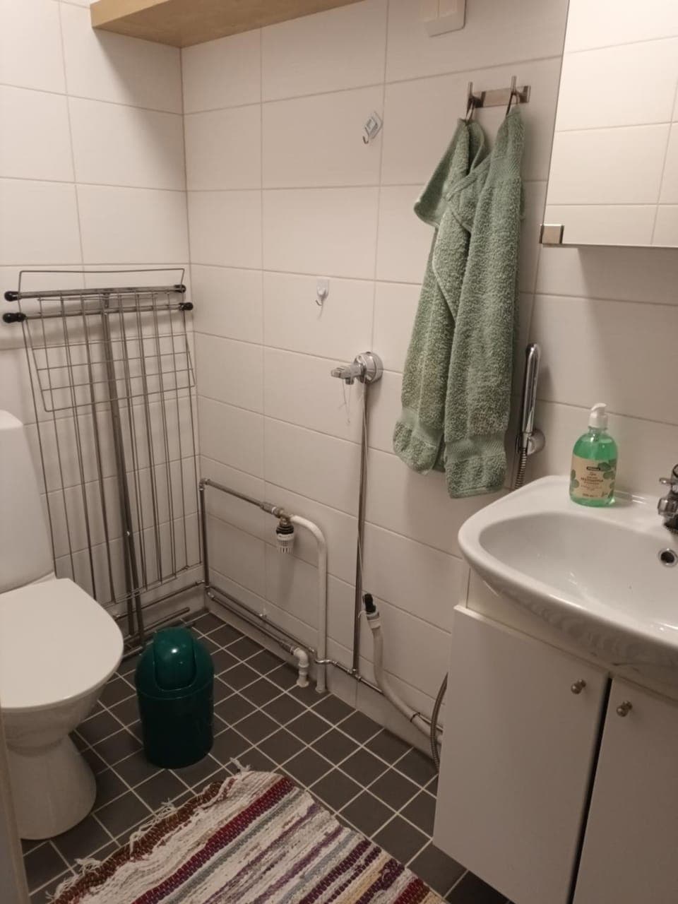 Saunallinen yksiö, 4 vuodepaikka Apartment in Finland
