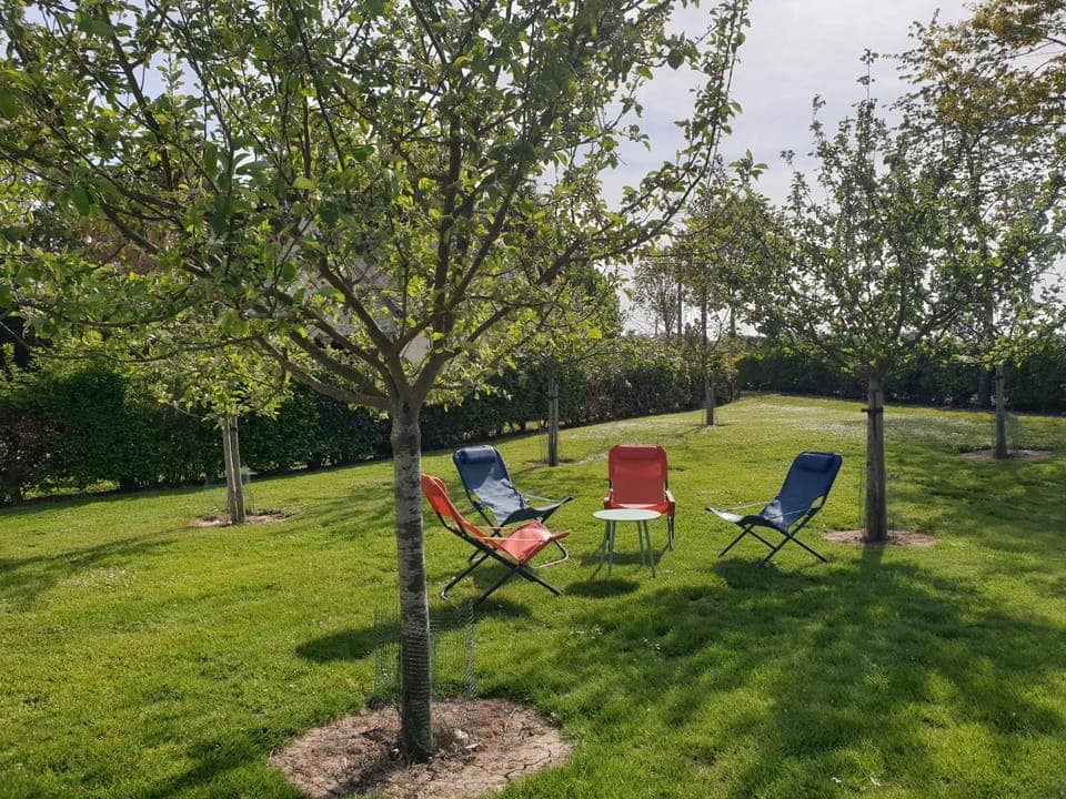 Natural landscape, Garden, Garden, Garden view, sunbed