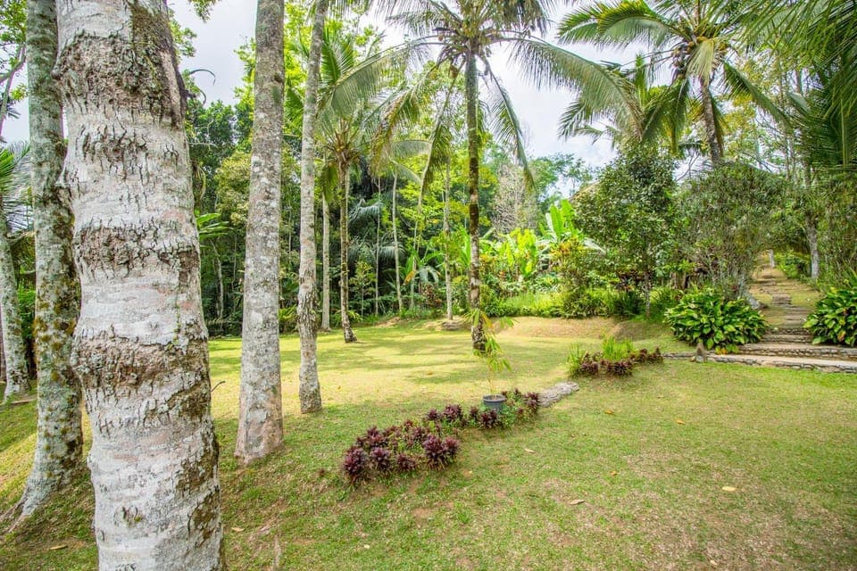 Natural landscape, Garden, Area and facilities