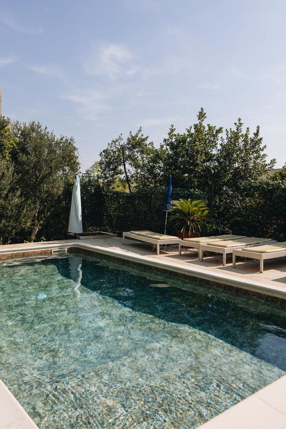 Day, Garden, Garden view, Pool view, Swimming pool, sunbed