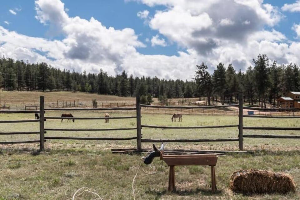 New! Charming cozy Cabin Colorado National Forest Cabin in Park County
