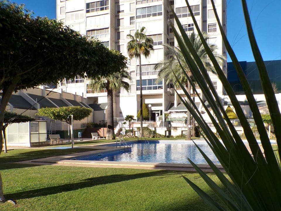 Garden, Swimming pool