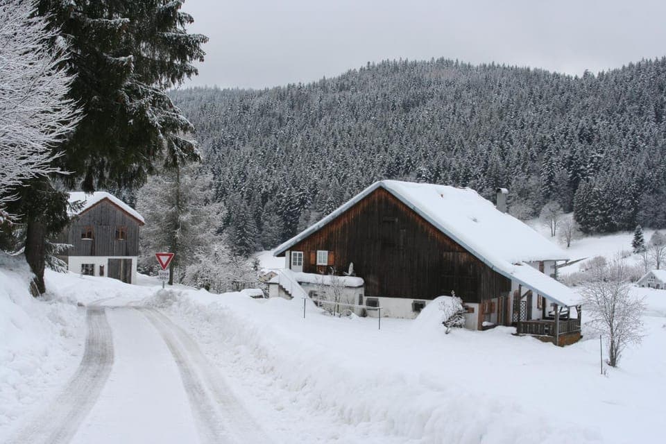 Day, Natural landscape, Winter