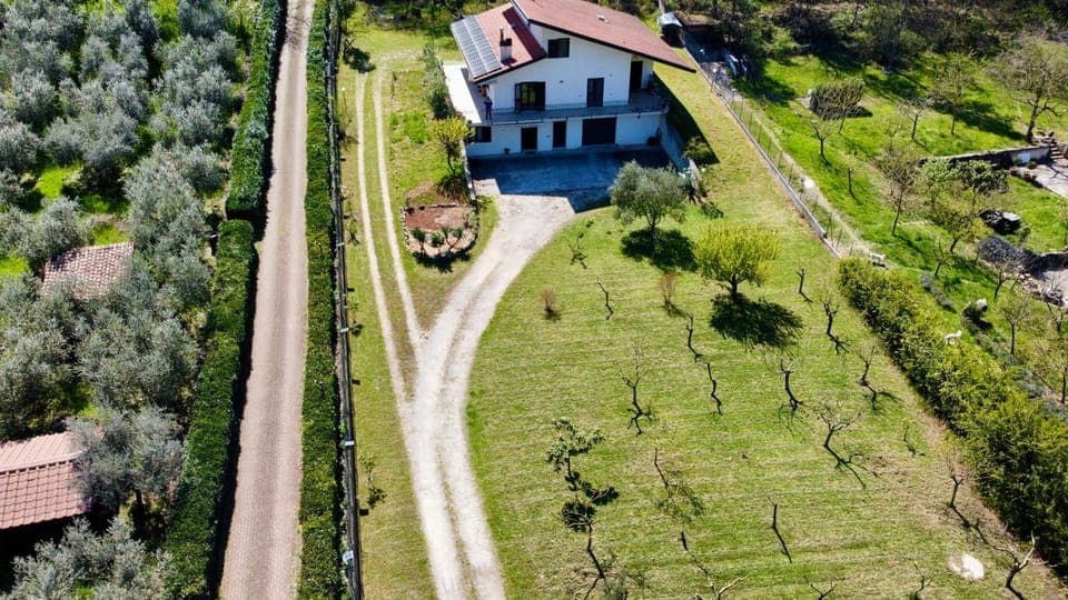Property building, Bird's eye view, Garden