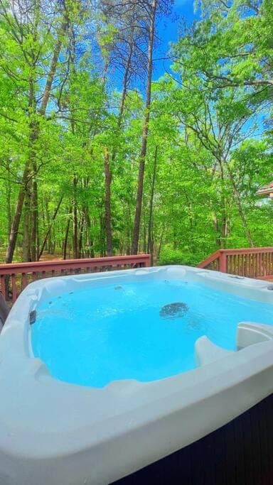 Natural landscape, Hot Tub, Garden view