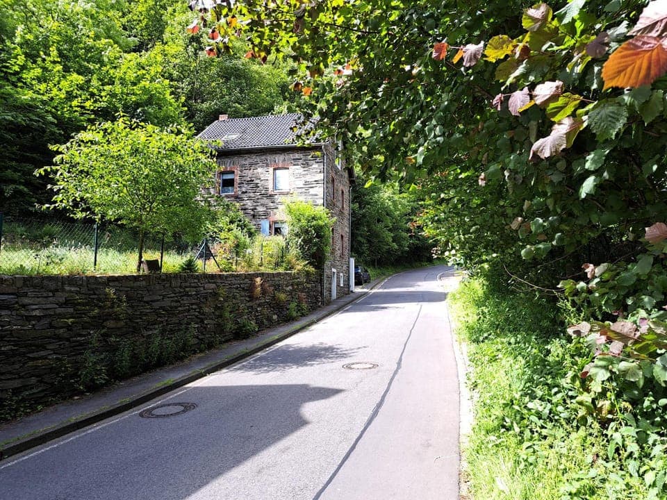 Neighbourhood, Natural landscape, Garden view, Street view