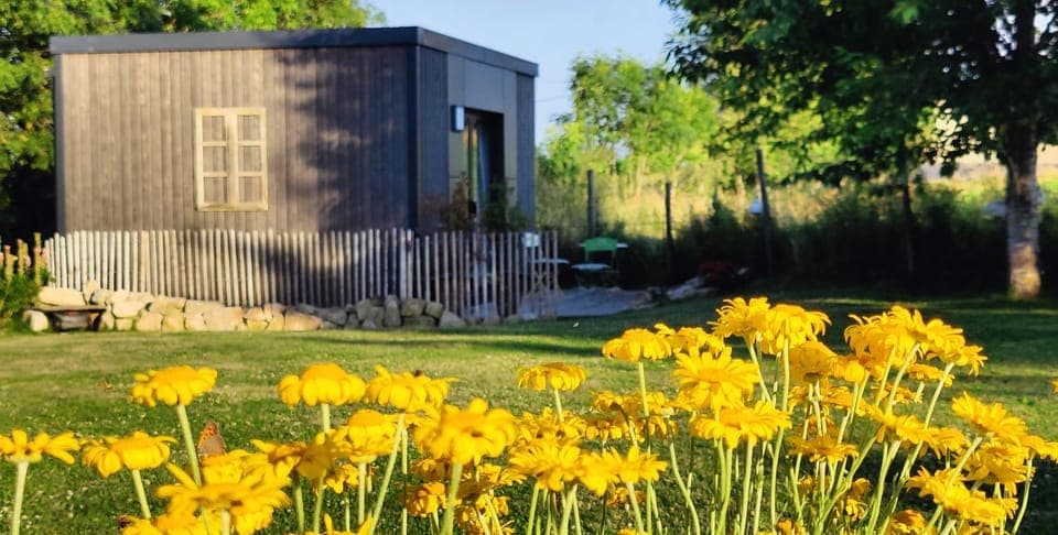 Patio, Patio, Garden