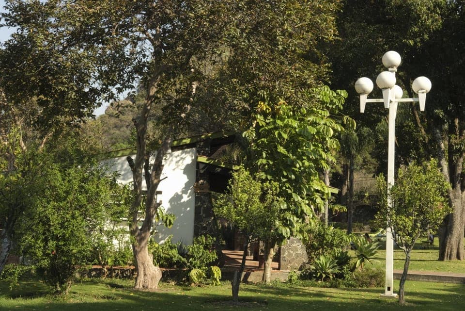 Day, Natural landscape, Garden, Garden view