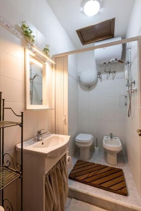 Shower, Toilet, Bathroom, bidet