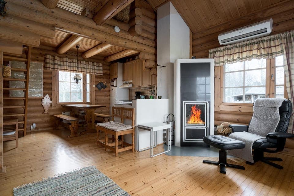 Living room, fireplace, internet, air conditioner