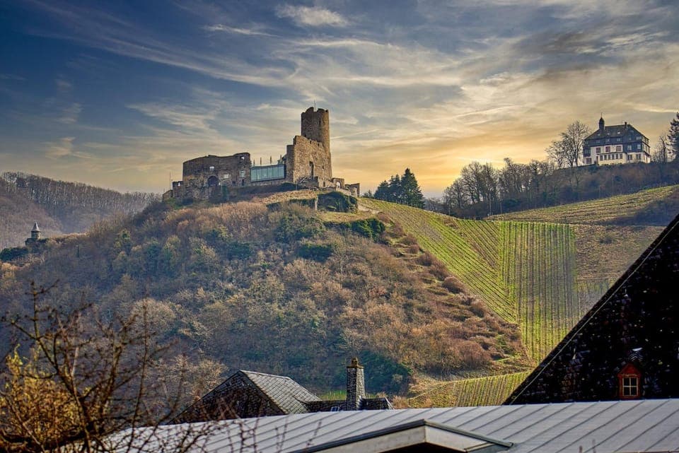 View (from property/room)