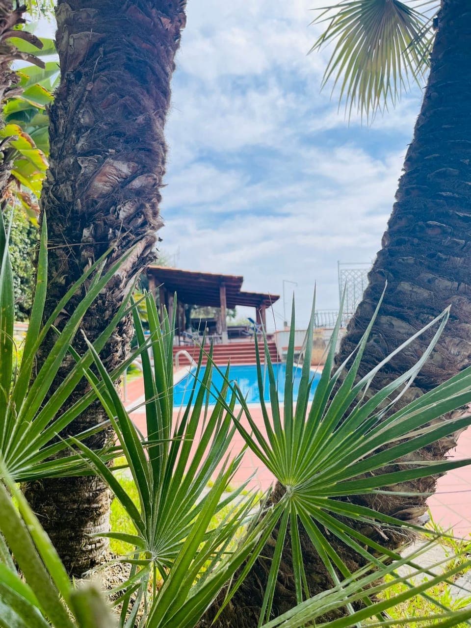 Day, Garden, Garden view, Pool view, Swimming pool, sunbed