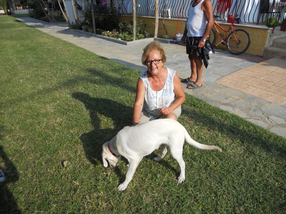 Staff, Natural landscape, On site, Pets, Family