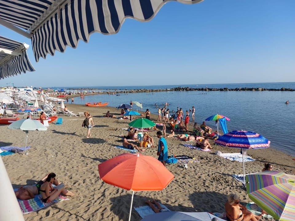Natural landscape, Beach, group of guests, sunbed