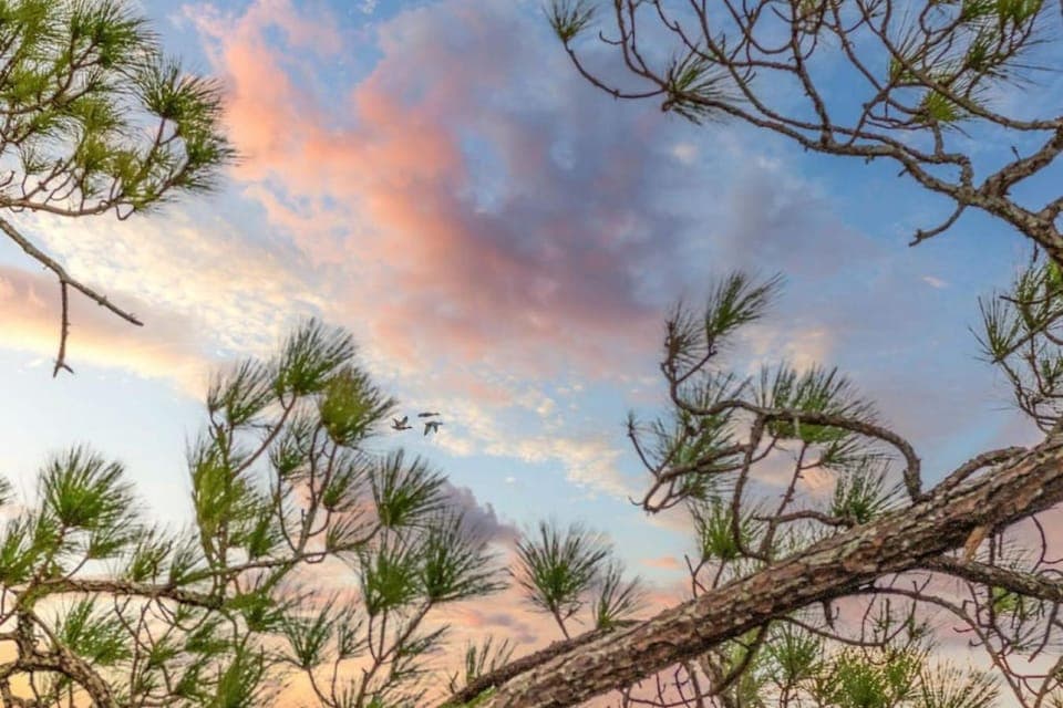 Natural landscape