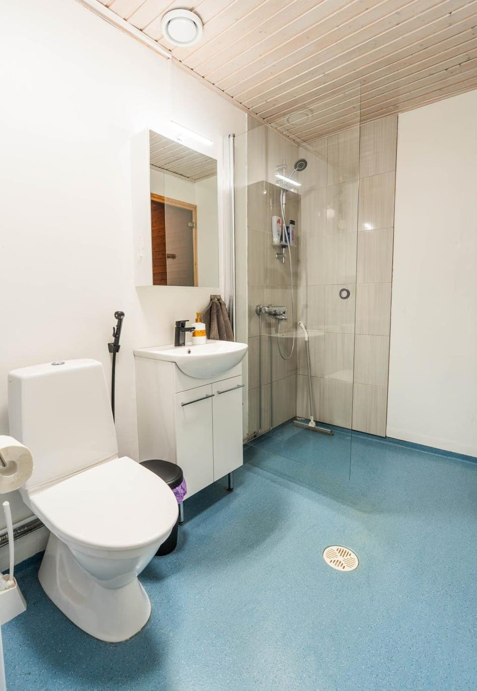 Shower, Toilet, Bathroom, bidet