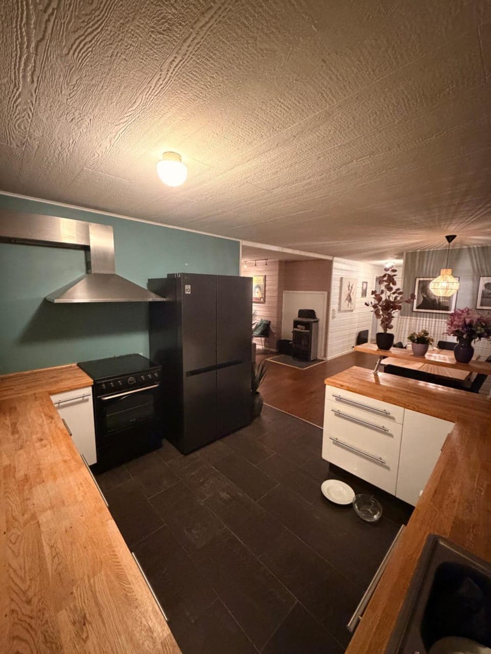 Kitchen or kitchenette, oven, stove
