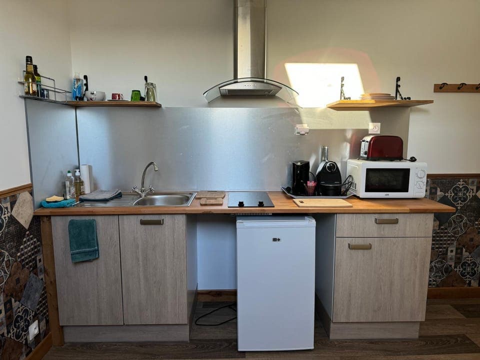 Kitchen or kitchenette, minibar, stove