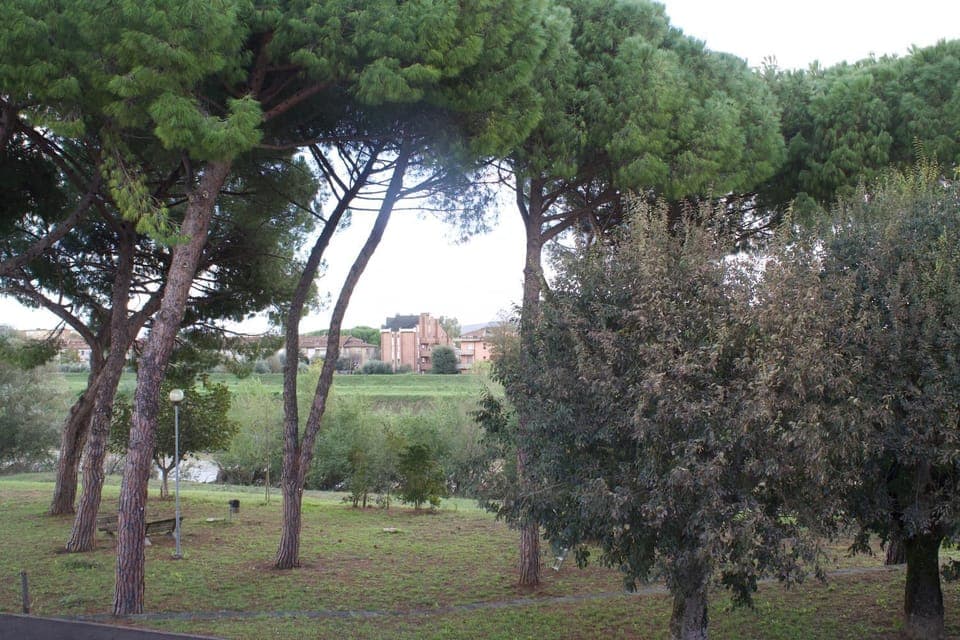 Natural landscape, View (from property/room)