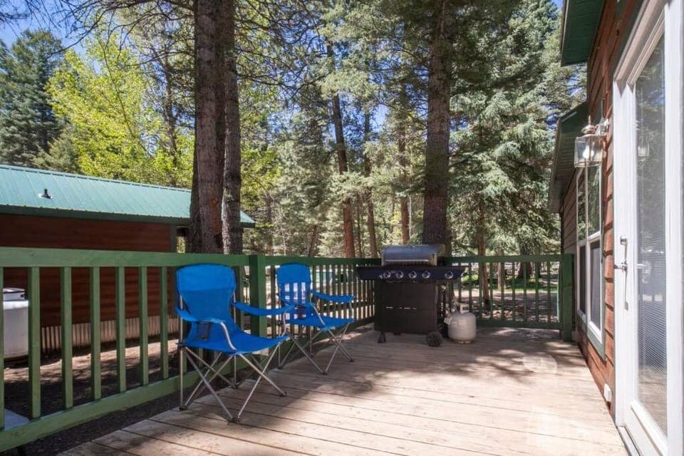 The Twilight Cabin #4 at Blue Spruce RV Park & Cabins Cabin in La Plata County