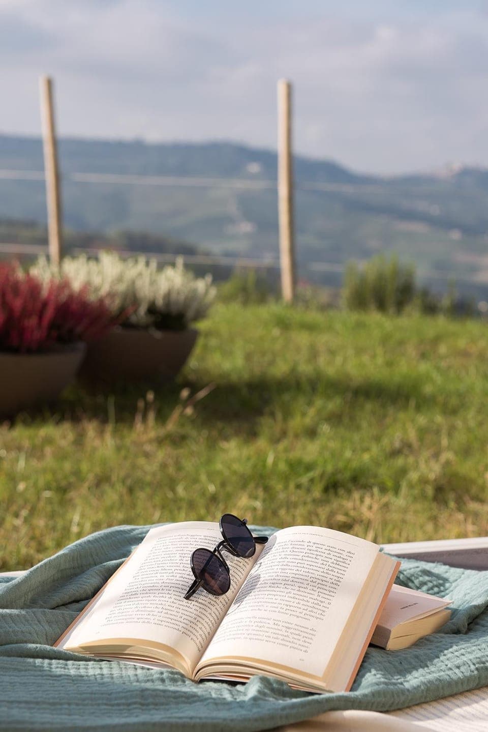 Garden, Garden view, Mountain view