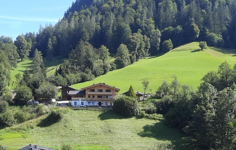 Property building, Day