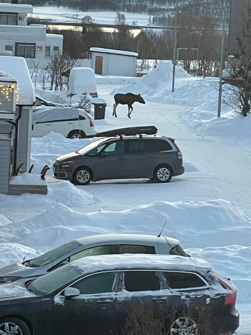 View (from property/room), Quiet street view