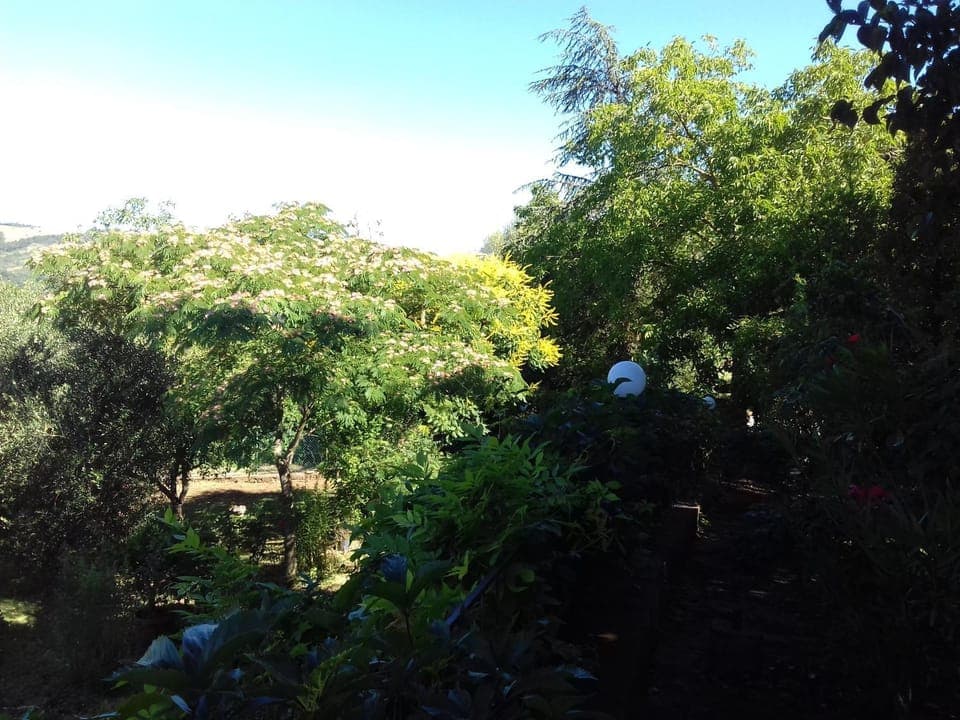 Garden, Area and facilities