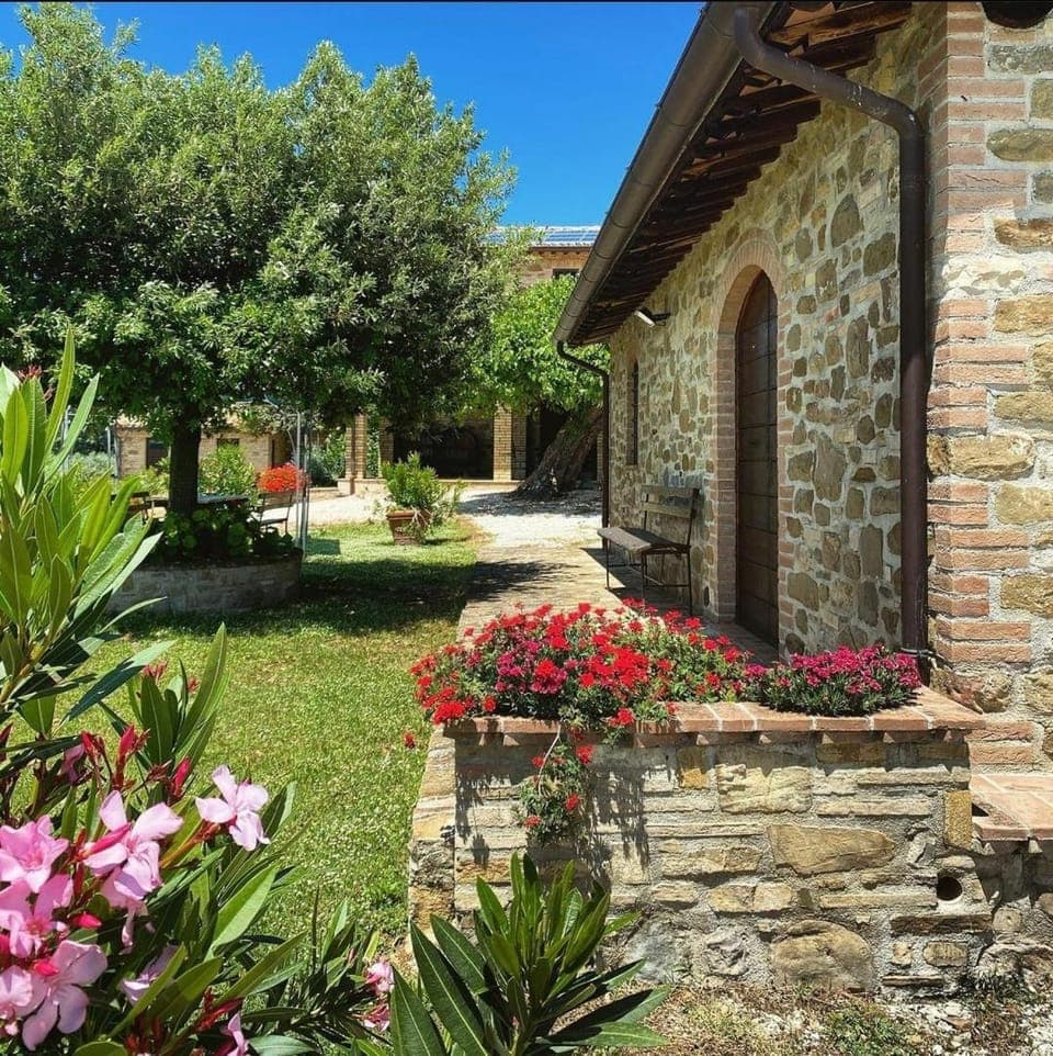 Facade/entrance, Garden