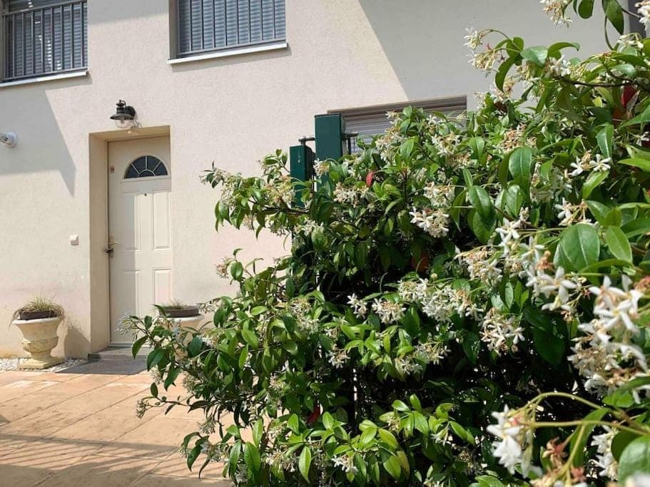 Property building, Garden