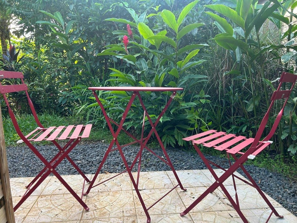Garden, Balcony/Terrace
