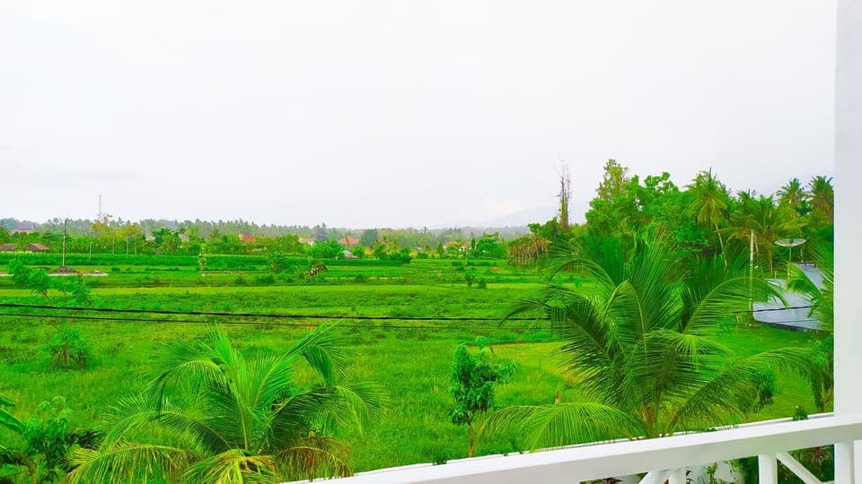 Spring, Day, Natural landscape, Garden, Garden view