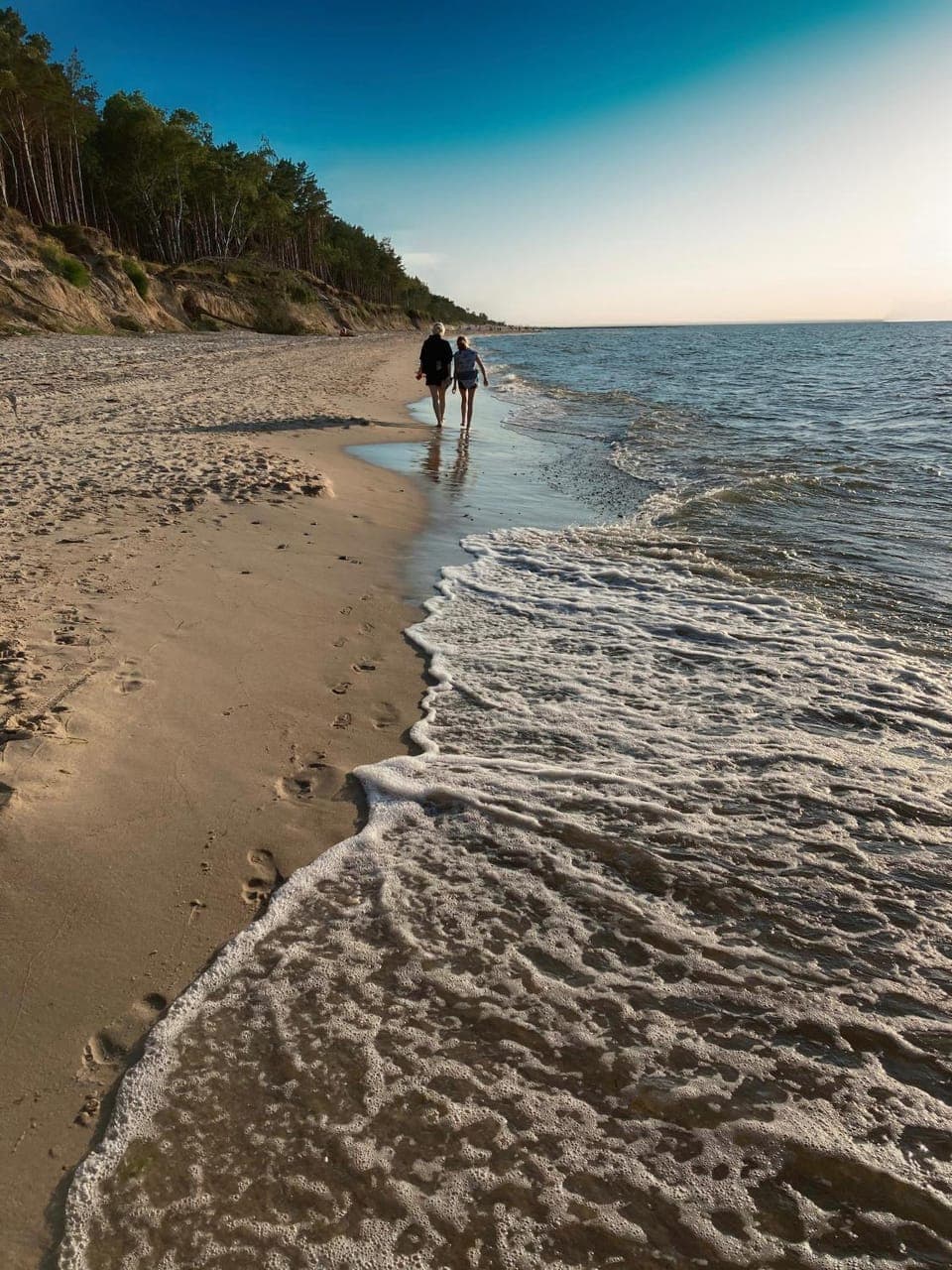 Natural landscape, Beach, group of guests