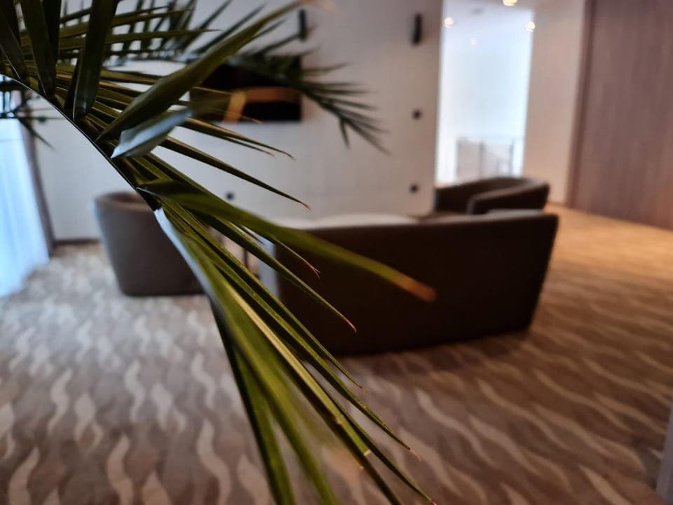 TV and multimedia, Seating area