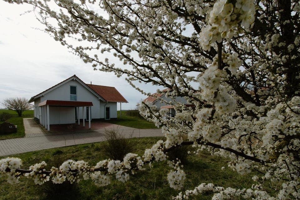 Property building, Natural landscape