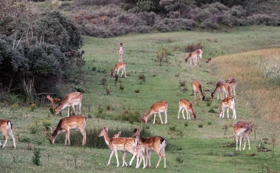 Natural landscape, Location