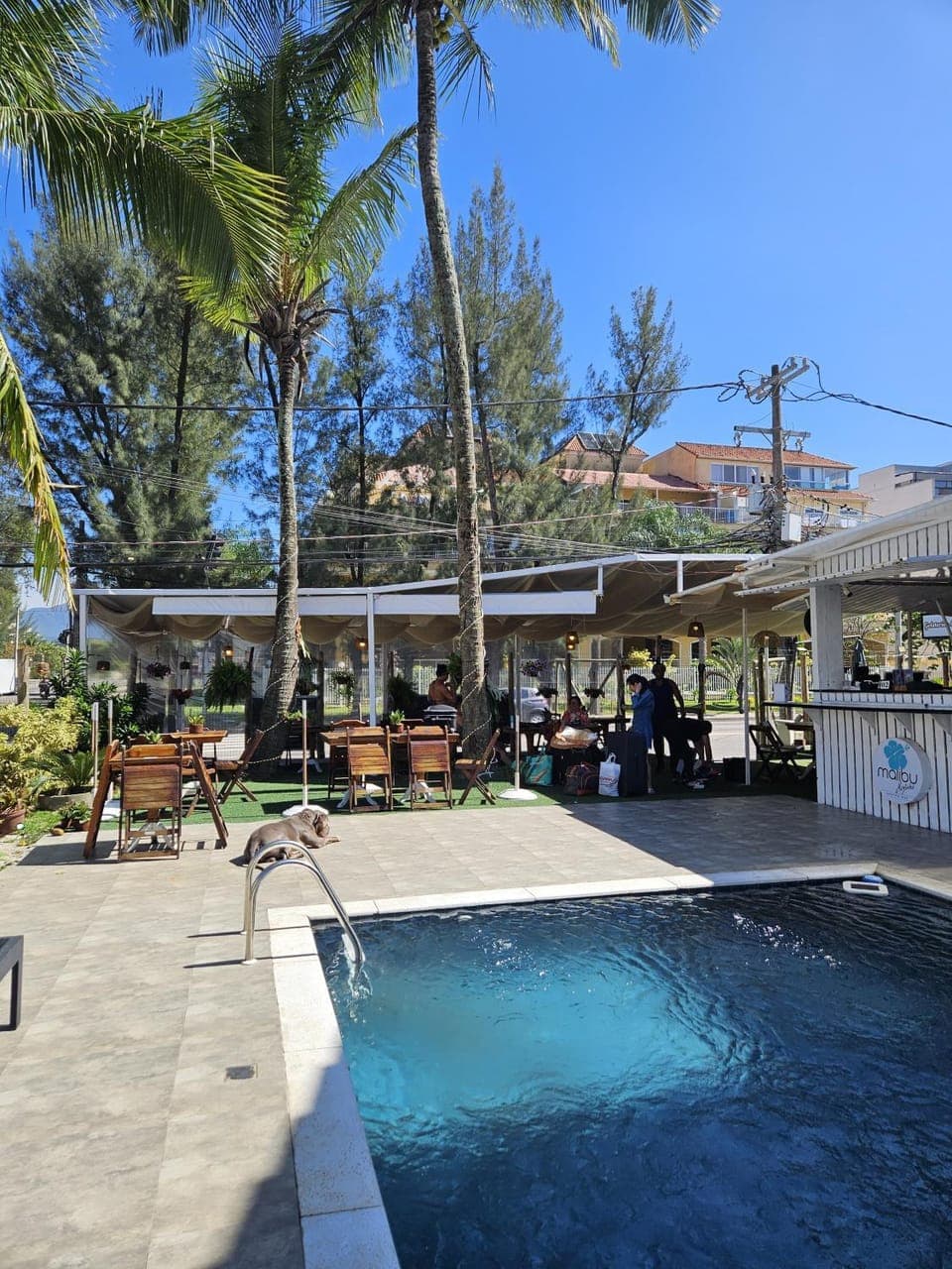 Natural landscape, Pool view, Swimming pool