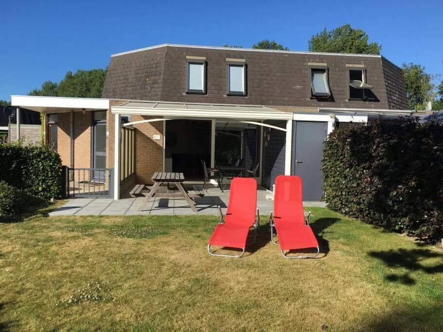 Garden, Garden view, sunbed