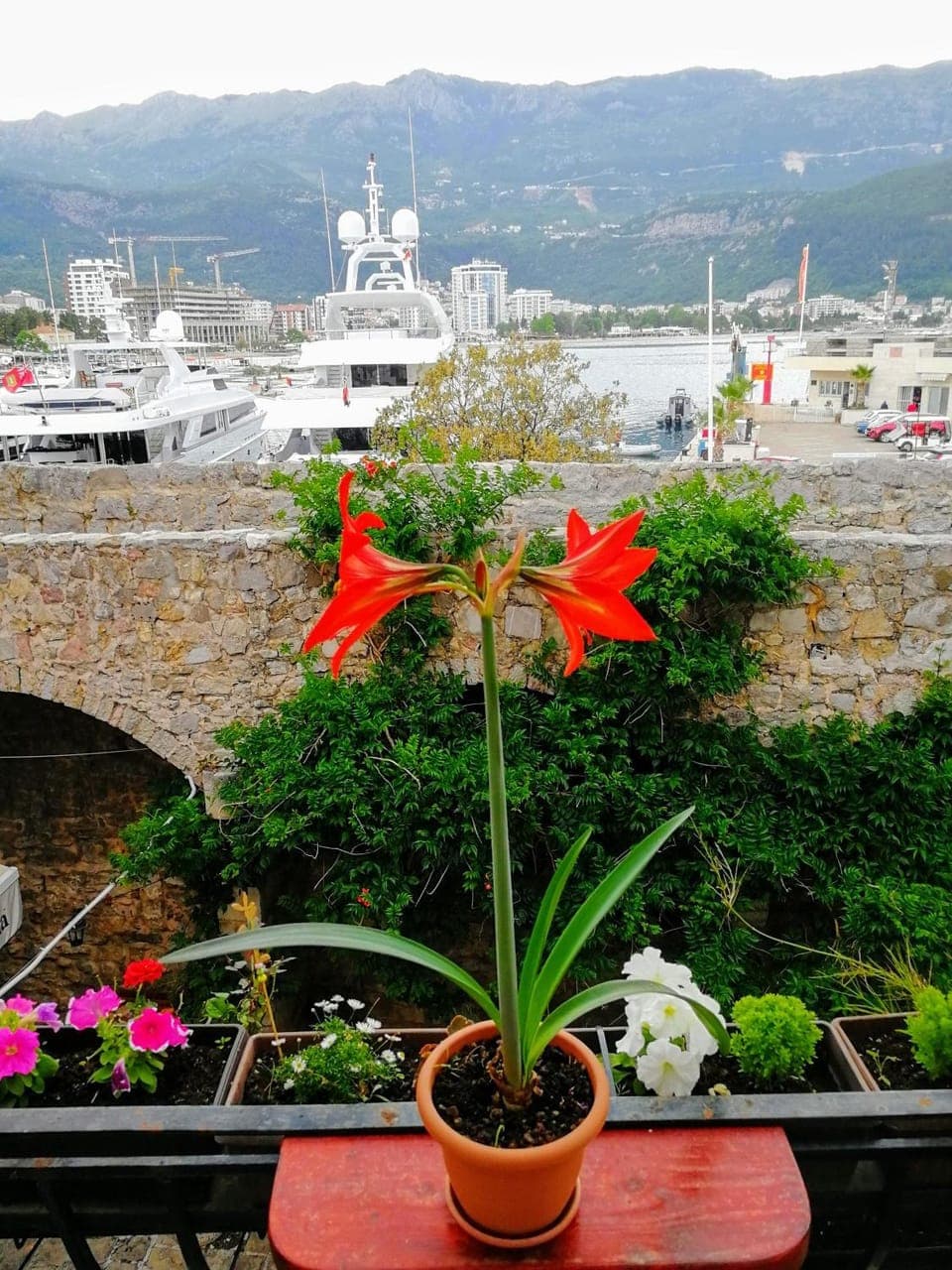 Balcony/Terrace, City view