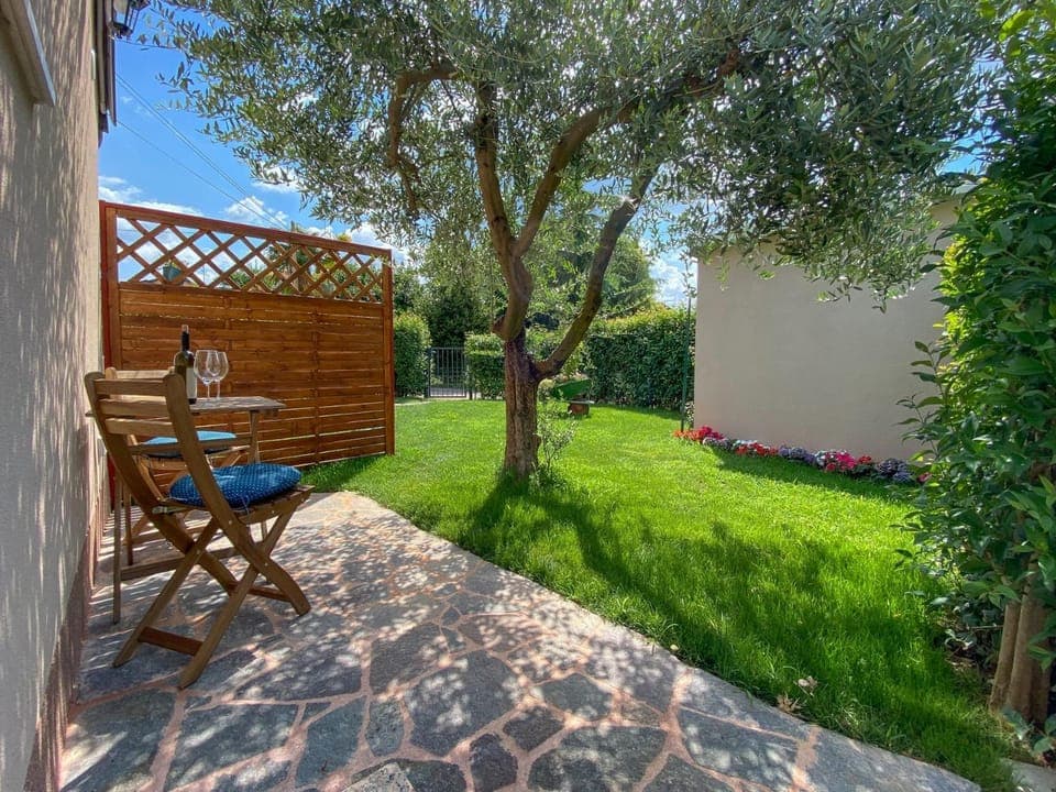 Patio, Garden, Garden view